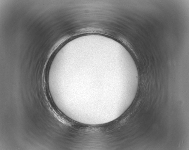 X0000078871082200612111707