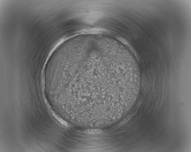 X0000078871083200612111707