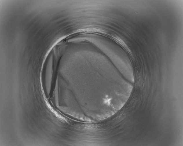 X0000078871084200612111707