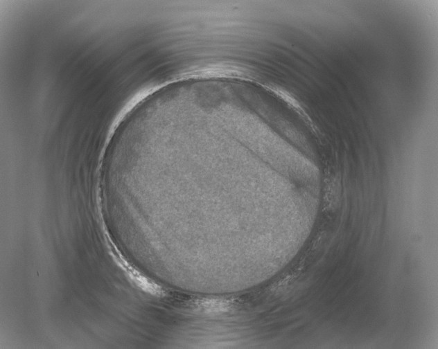 X0000078871086200612111707