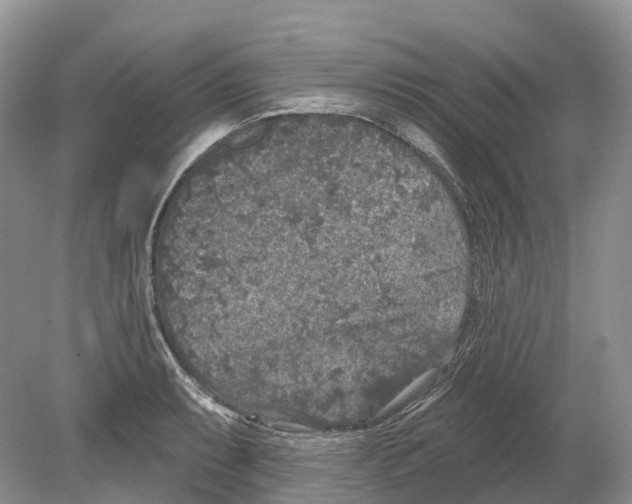 X0000078871087200612111707