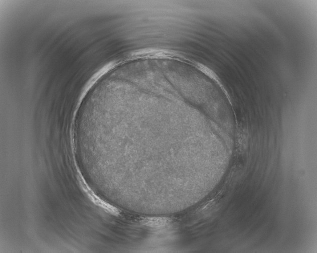 X0000078871090200612111707