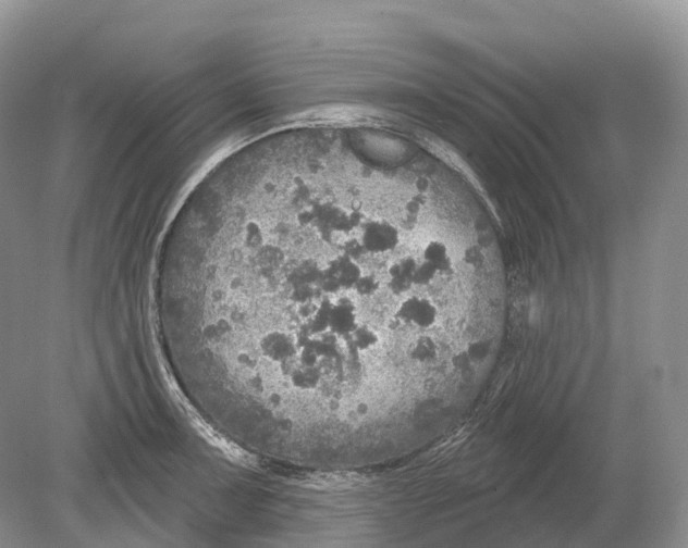 X0000078871091200612111707