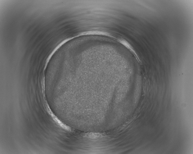 X0000078871092200612111707