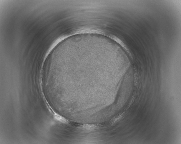 X0000078871094200612111707