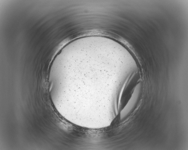 X0000078871097200612111707