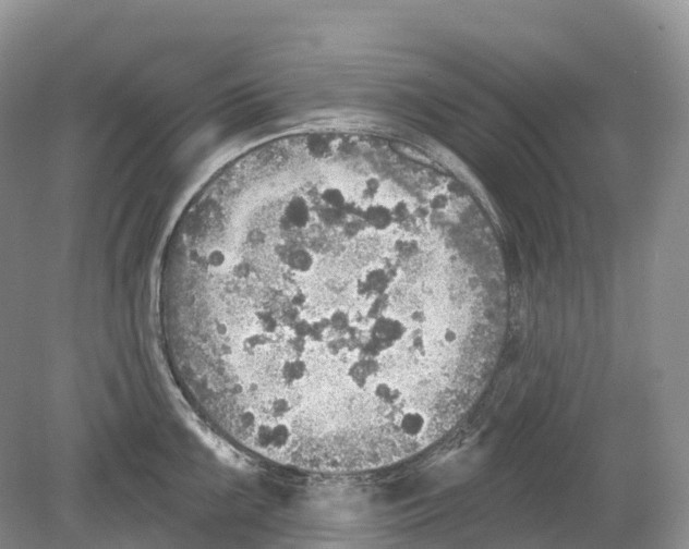 X0000078871099200612111707