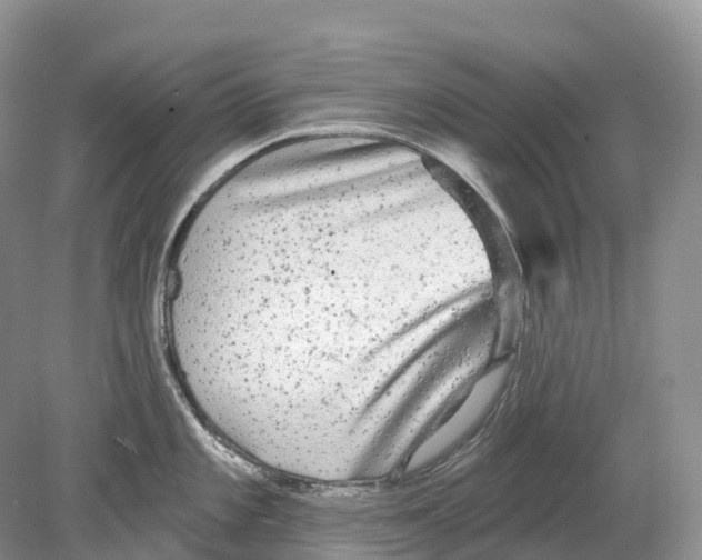 X0000078871101200612111707