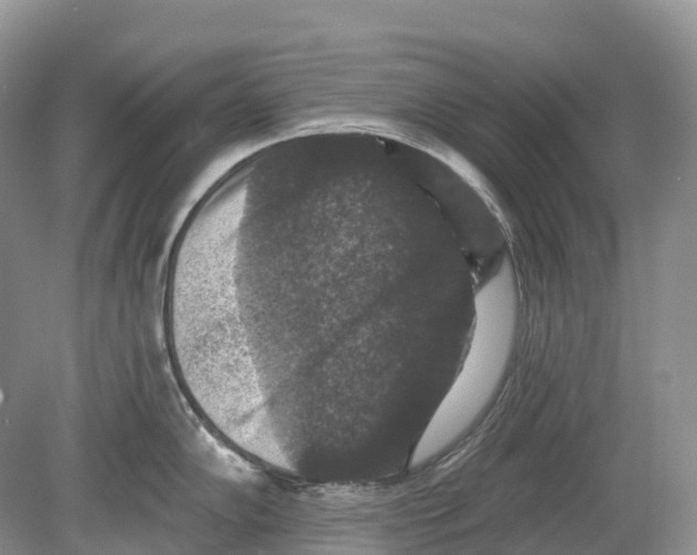 X0000078871102200612111707