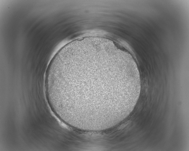 X0000078871103200612111707