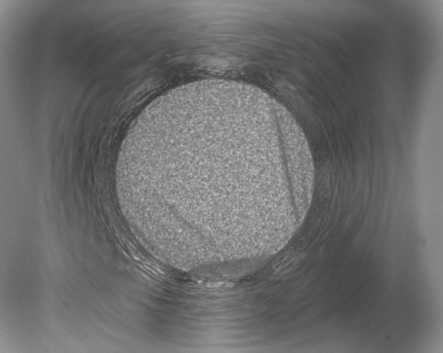 X0000078871105200612111706