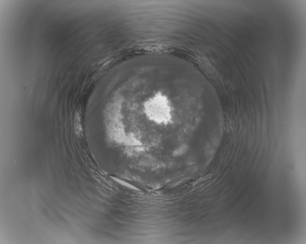 X0000078871106200612111706