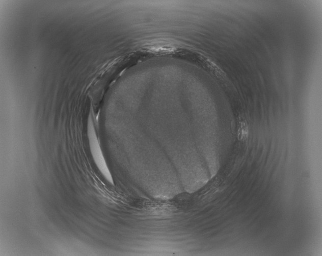 X0000078871108200612111706