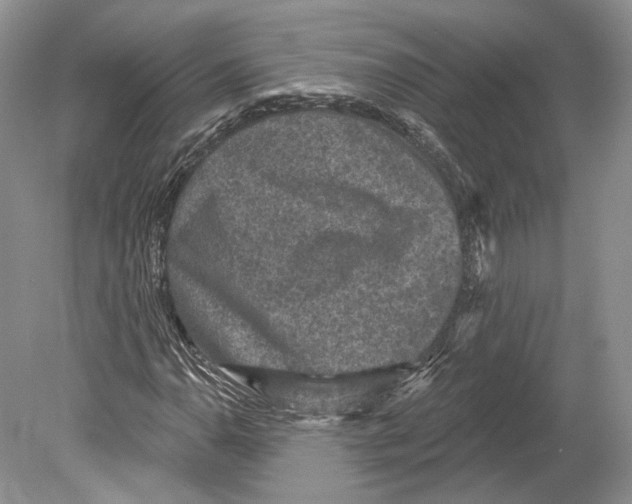 X0000078871110200612111706