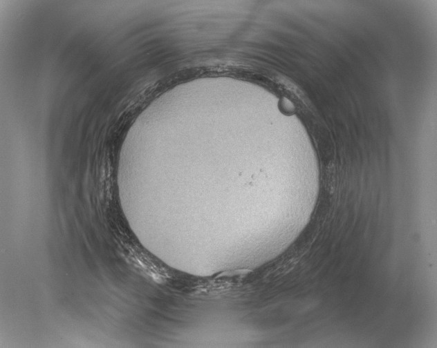 X0000078871111200612111706