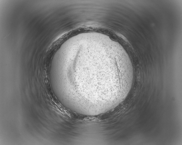 X0000078871112200612111706