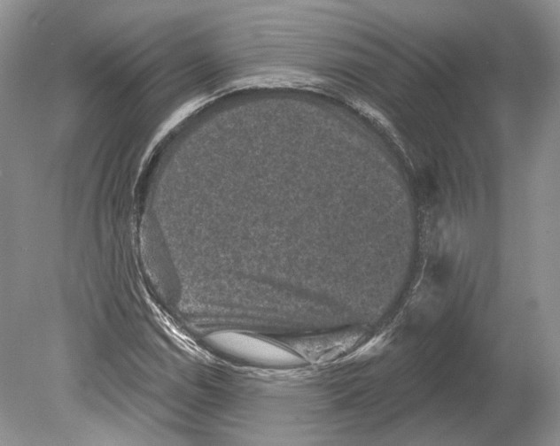 X0000078871114200612111706