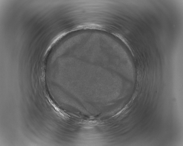 X0000078871115200612111706