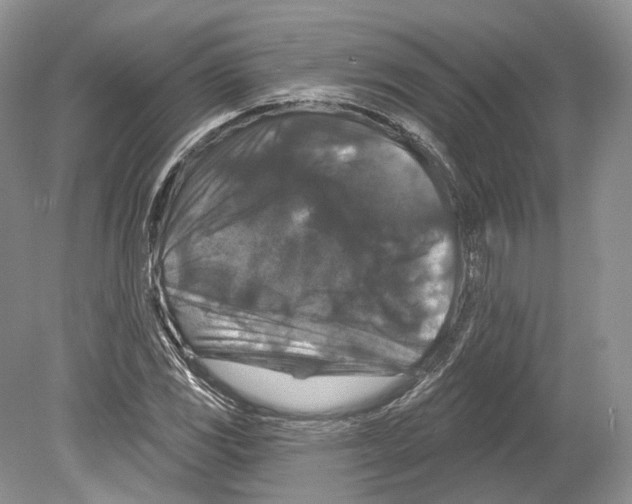 X0000078871117200612111706