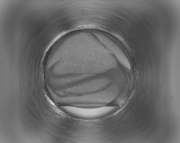 X0000078871118200612111706