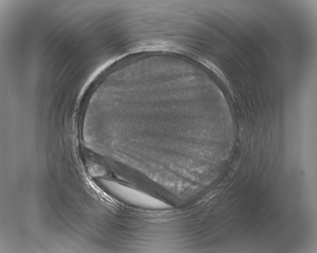 X0000078871120200612111706