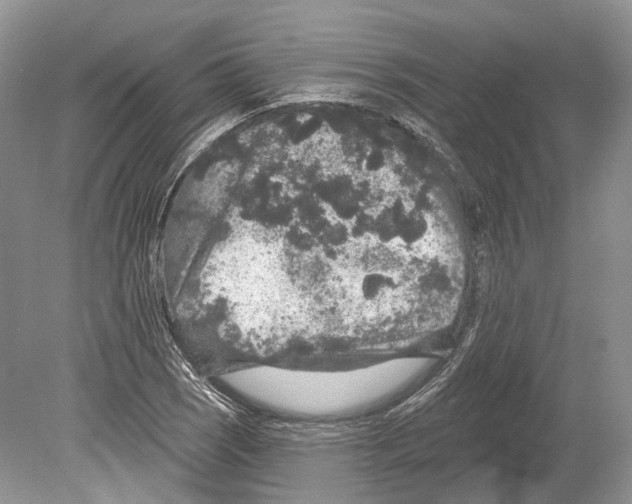 X0000078871121200612111706