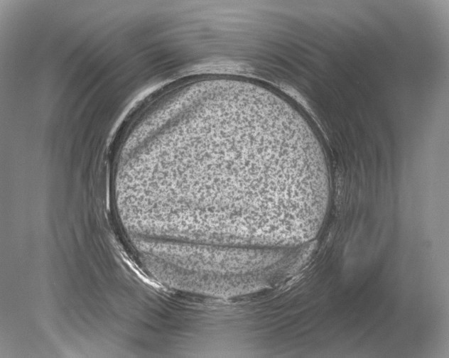 X0000078871123200612111706