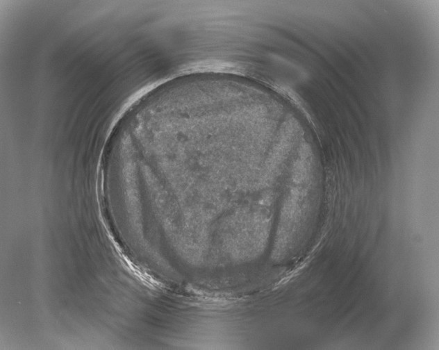 X0000078871125200612111706