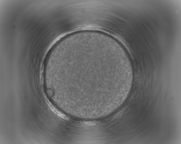 X0000078871126200612111706