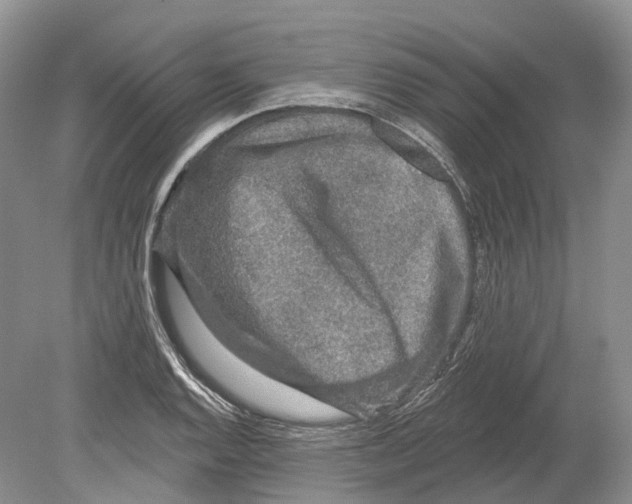 X0000078871128200612111706