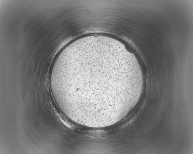 X0000078871129200612111707