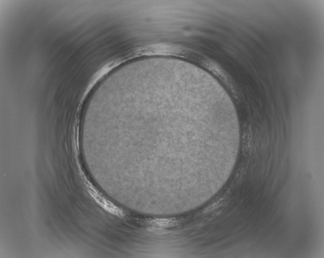 X0000078871130200612111707