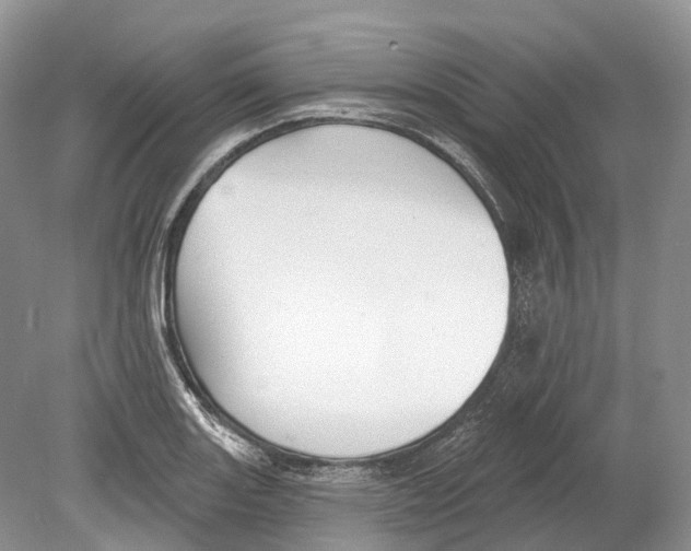 X0000078871131200612111707