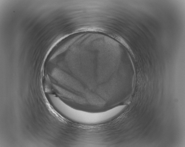 X0000078871132200612111707