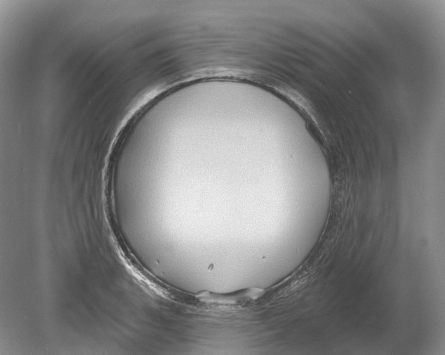 X0000078871135200612111707