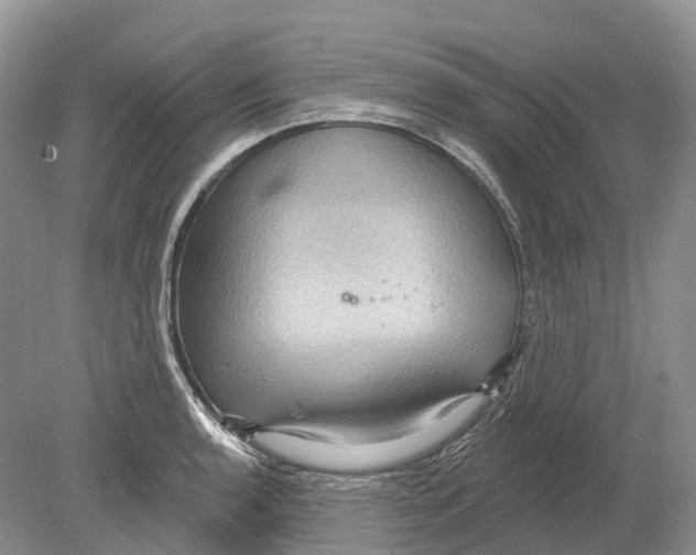 X0000078871136200612111707