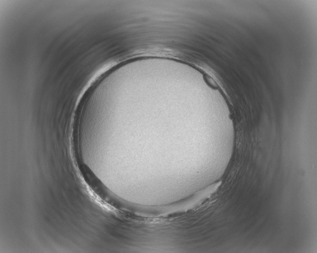 X0000078871139200612111707