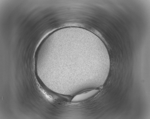 X0000078871140200612111707