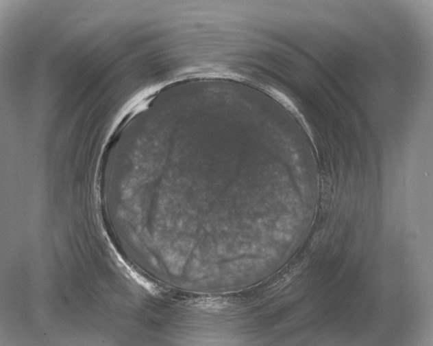 X0000078871141200612111707