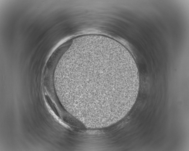 X0000078871142200612111707