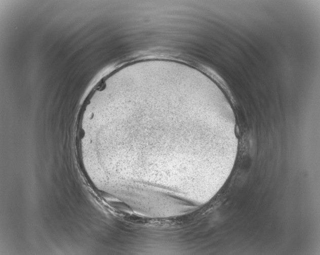 X0000078871146200612111707