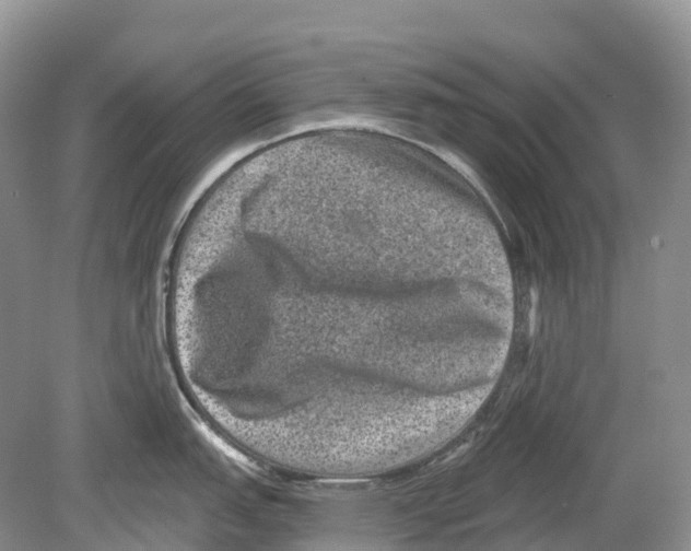 X0000078871151200612111707