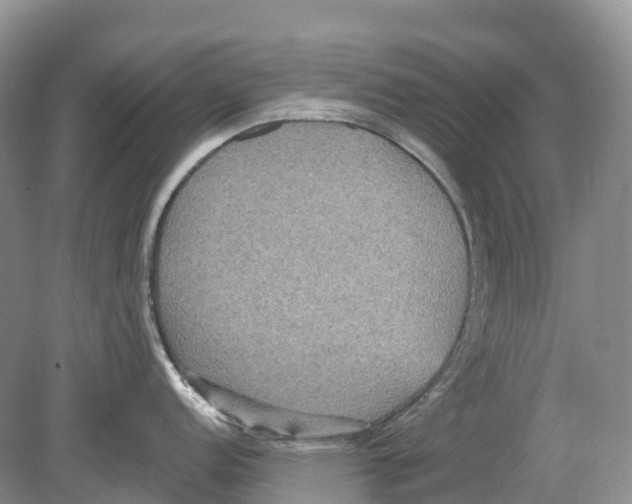 X0000078871152200612111707