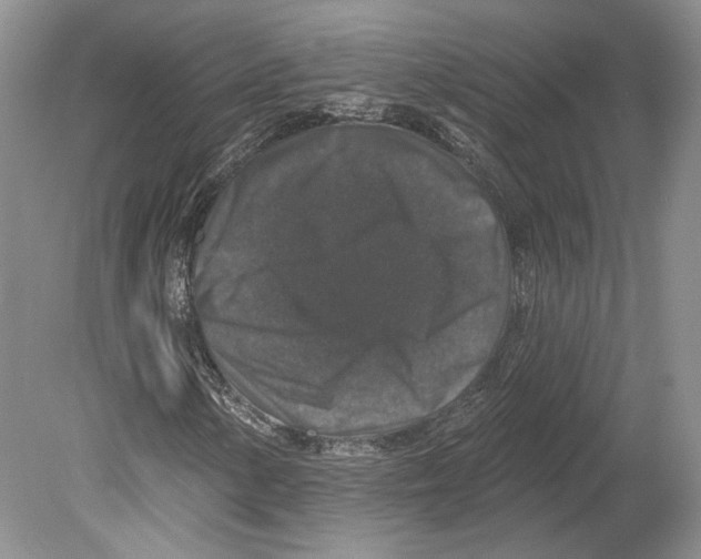 X0000078871154200612111706