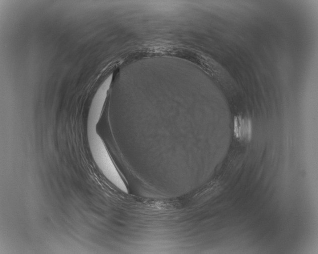 X0000078871155200612111706