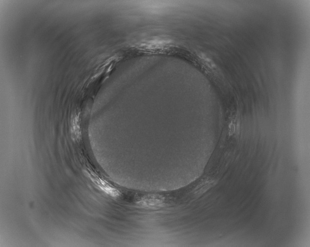 X0000078871156200612111706