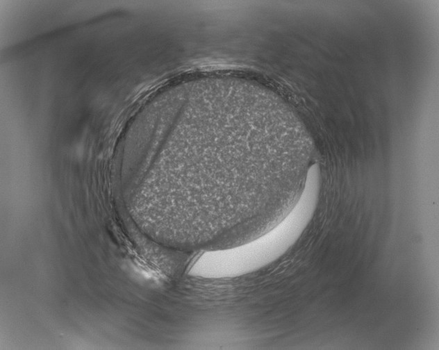 X0000078871157200612111706