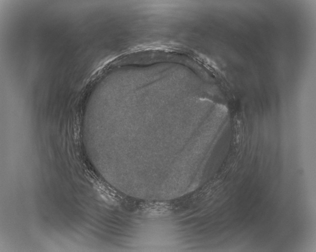 X0000078871158200612111706