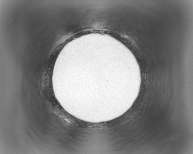 X0000078871159200612111706