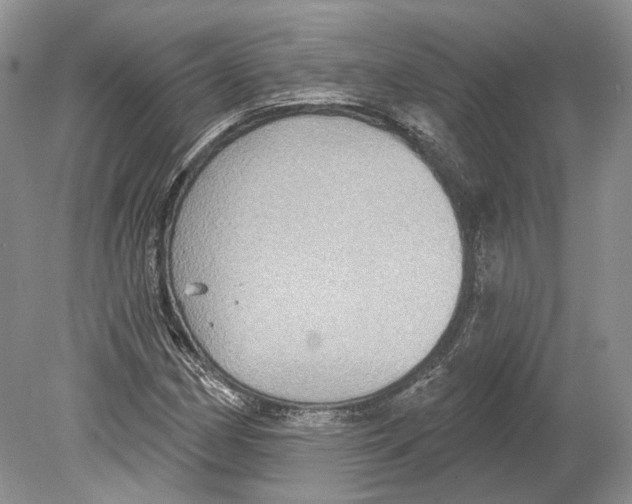 X0000078871162200612111706